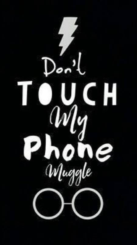 DONT TOUCH MY IPAD MUGGLE Poster  NOBODY  Keep CalmoMatic